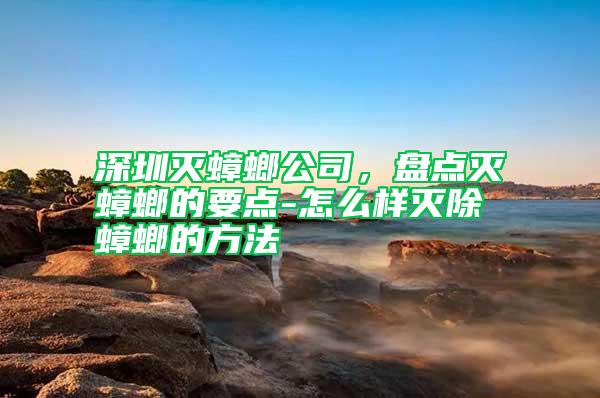 深圳滅蟑螂公司，盤(pán)點(diǎn)滅蟑螂的要點(diǎn)-怎么樣滅除蟑螂的方法