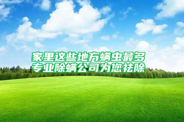 家里這些地方螨蟲(chóng)最多 專業(yè)除螨公司為您祛除