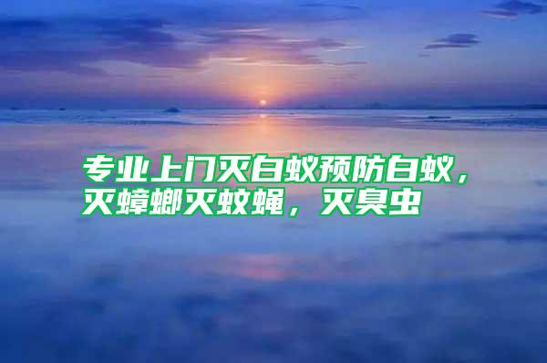 專業(yè)上門滅白蟻預防白蟻，滅蟑螂滅蚊蠅，滅臭蟲