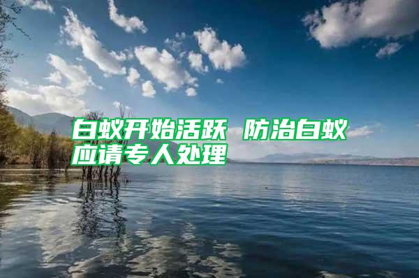 白蟻開始活躍 防治白蟻應(yīng)請專人處理