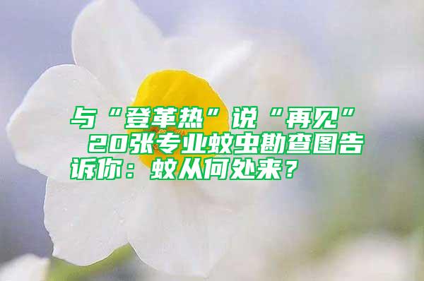 與“登革熱”說“再見” 20張專業(yè)蚊蟲勘查圖告訴你：蚊從何處來？