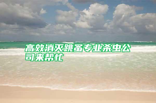 高效消滅跳蚤專業(yè)殺蟲公司來幫忙