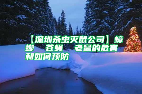 【深圳殺蟲(chóng)滅鼠公司】蟑螂  蒼蠅  老鼠的危害和如何預(yù)防