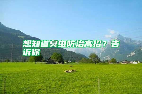 想知道臭蟲防治高招？告訴你