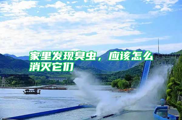 家里發現臭蟲，應該怎么消滅它們
