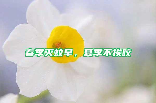 春季滅蚊早，夏季不挨咬