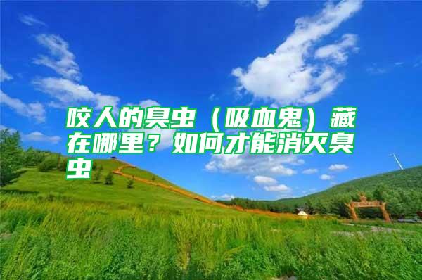 咬人的臭蟲（吸血鬼）藏在哪里？如何才能消滅臭蟲