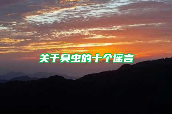 關(guān)于臭蟲的十個謠言