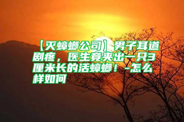 【滅蟑螂公司】男子耳道劇疼，醫生竟夾出一只3厘米長的活蟑螂！-怎么樣如何