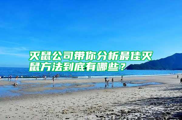 滅鼠公司帶你分析最佳滅鼠方法到底有哪些？