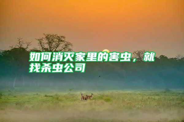 如何消滅家里的害蟲(chóng)，就找殺蟲(chóng)公司