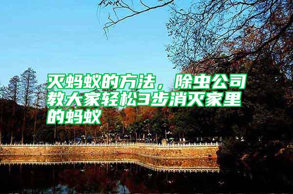 滅螞蟻的方法，除蟲公司教大家輕松3步消滅家里的螞蟻