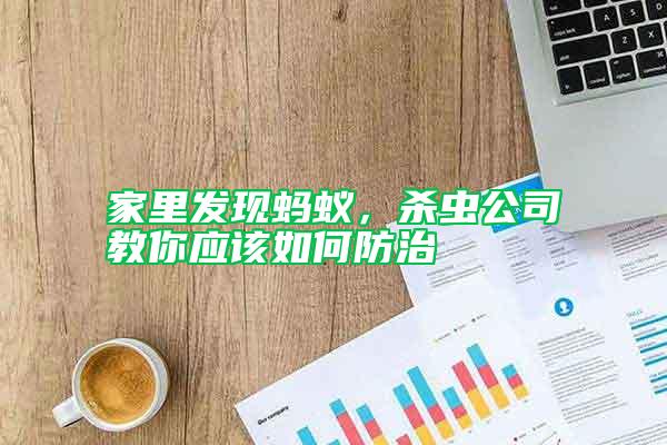 家里發現螞蟻，殺蟲公司教你應該如何防治