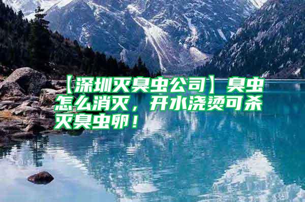 【深圳滅臭蟲(chóng)公司】臭蟲(chóng)怎么消滅，開(kāi)水澆燙可殺滅臭蟲(chóng)卵！