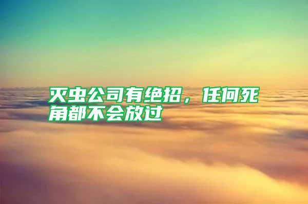 滅蟲公司有絕招，任何死角都不會放過