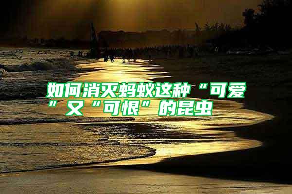 如何消滅螞蟻這種“可愛(ài)”又“可恨”的昆蟲(chóng)
