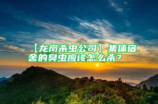 【龍崗殺蟲公司】集體宿舍的臭蟲應(yīng)該怎么殺？