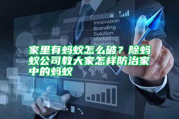 家里有螞蟻怎么破？除螞蟻公司教大家怎樣防治家中的螞蟻