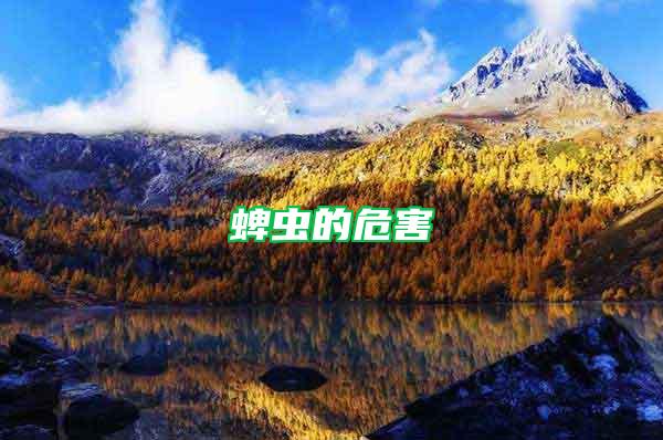 蜱蟲(chóng)的危害