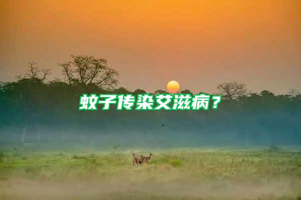 蚊子傳染艾滋?。?/></p>
             <p style=