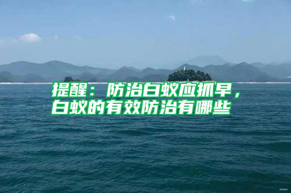 提醒：防治白蟻應(yīng)抓早，白蟻的有效防治有哪些