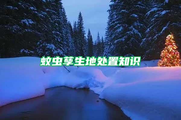 蚊蟲孳生地處置知識(shí)