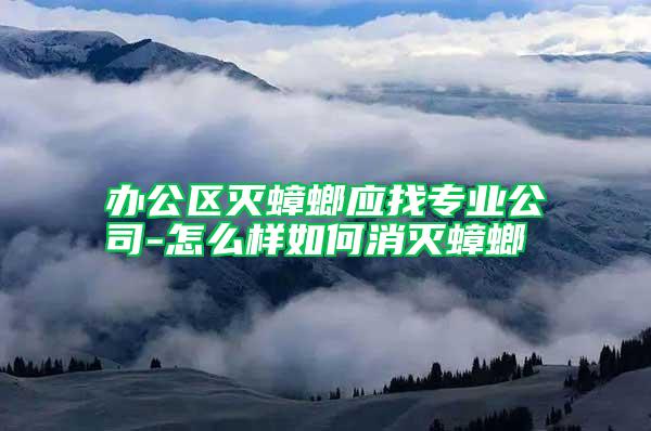 辦公區滅蟑螂應找專業公司-怎么樣如何消滅蟑螂