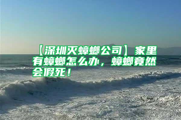 【深圳滅蟑螂公司】家里有蟑螂怎么辦，蟑螂竟然會(huì)假死！