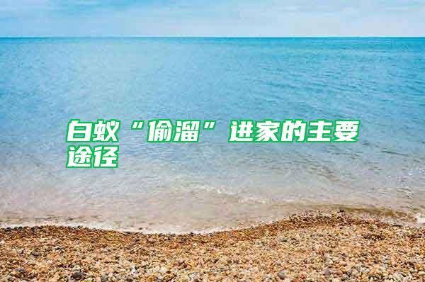 白蟻“偷溜”進(jìn)家的主要途徑