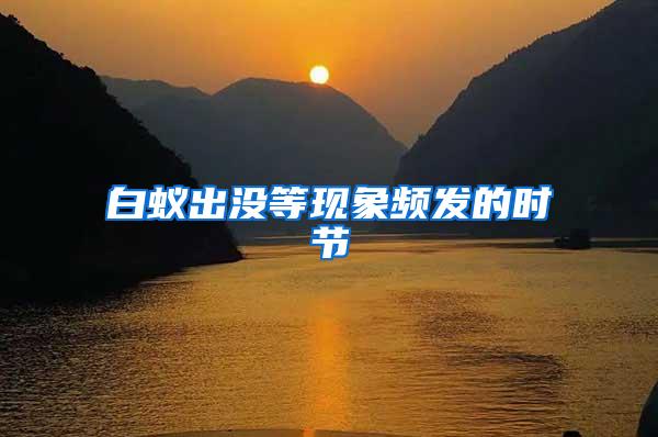 白蟻出沒等現(xiàn)象頻發(fā)的時(shí)節(jié)