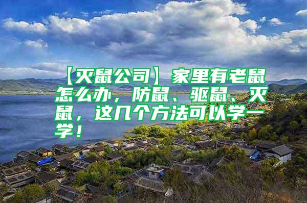 【滅鼠公司】家里有老鼠怎么辦，防鼠、驅(qū)鼠、滅鼠，這幾個(gè)方法可以學(xué)一學(xué)！