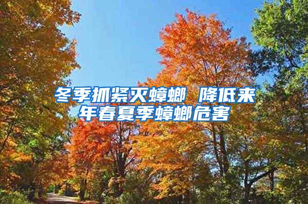 冬季抓緊滅蟑螂 降低來(lái)年春夏季蟑螂危害