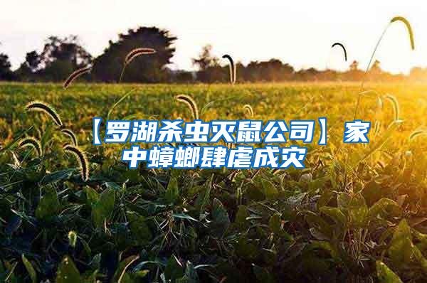 【羅湖殺蟲滅鼠公司】家中蟑螂肆虐成災(zāi)