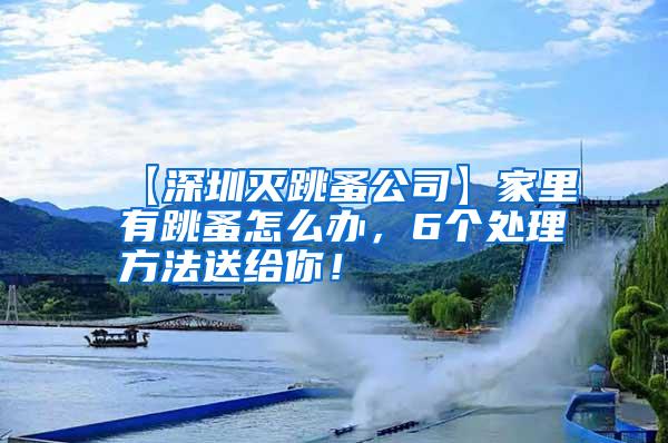 【深圳滅跳蚤公司】家里有跳蚤怎么辦，6個(gè)處理方法送給你！