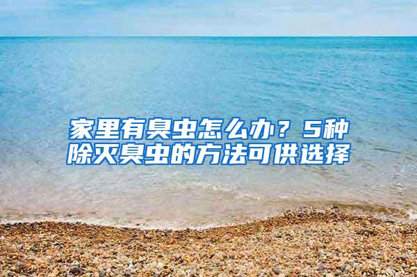 家里有臭蟲怎么辦？5種除滅臭蟲的方法可供選擇