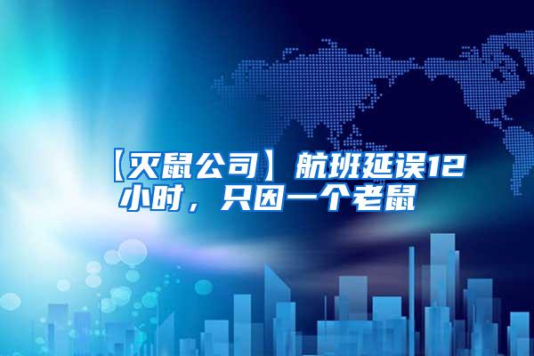 【滅鼠公司】航班延誤12小時(shí)，只因一個(gè)老鼠