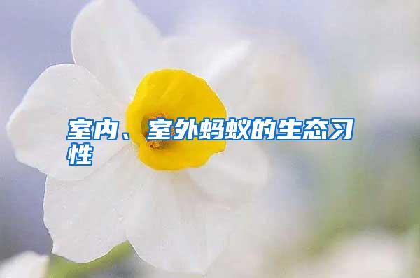 室內、室外螞蟻的生態習性