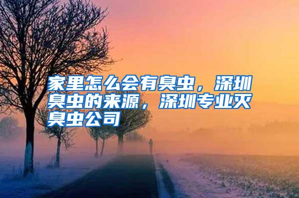 家里怎么會(huì)有臭蟲，深圳臭蟲的來源，深圳專業(yè)滅臭蟲公司