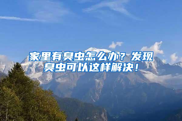 家里有臭蟲怎么辦？發現臭蟲可以這樣解決！