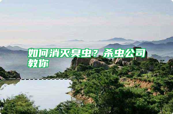 如何消滅臭蟲？殺蟲公司教你