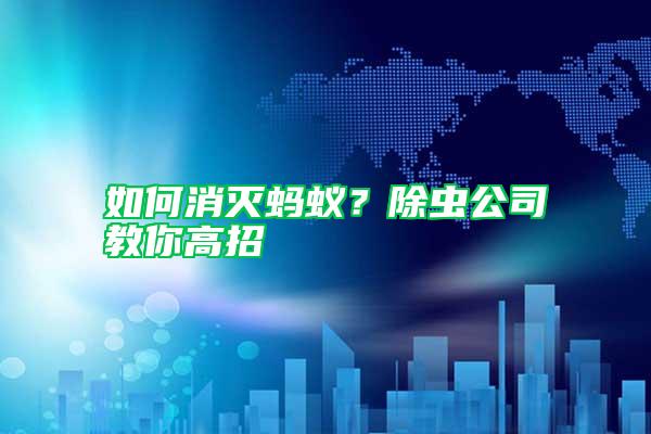 如何消滅螞蟻？除蟲公司教你高招
