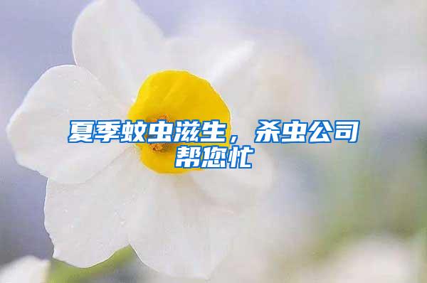 夏季蚊蟲滋生，殺蟲公司幫您忙