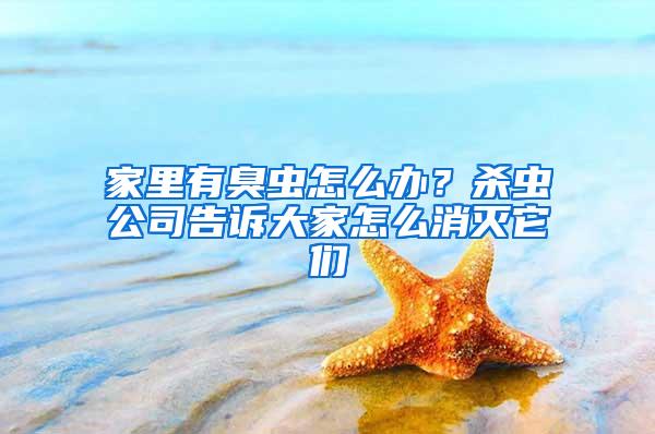 家里有臭蟲怎么辦？殺蟲公司告訴大家怎么消滅它們
