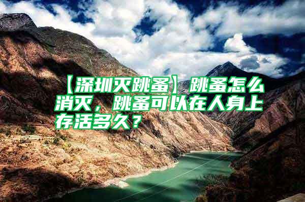 【深圳滅跳蚤】跳蚤怎么消滅，跳蚤可以在人身上存活多久？