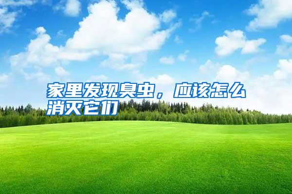 家里發(fā)現(xiàn)臭蟲，應(yīng)該怎么消滅它們