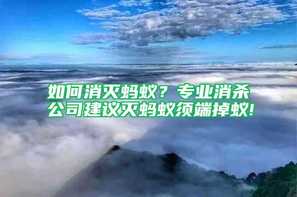 如何消滅螞蟻？專業(yè)消殺公司建議滅螞蟻須端掉蟻!