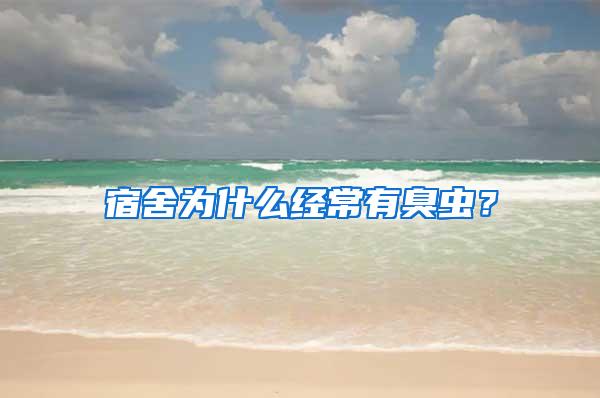 宿舍為什么經(jīng)常有臭蟲？