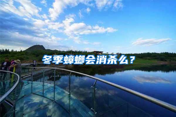 冬季蟑螂會消殺么？