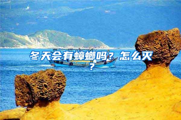 冬天會有蟑螂嗎？怎么滅？