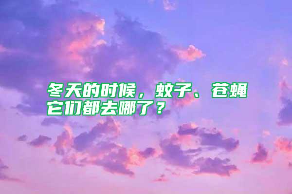 冬天的時候，蚊子、蒼蠅它們都去哪了？
